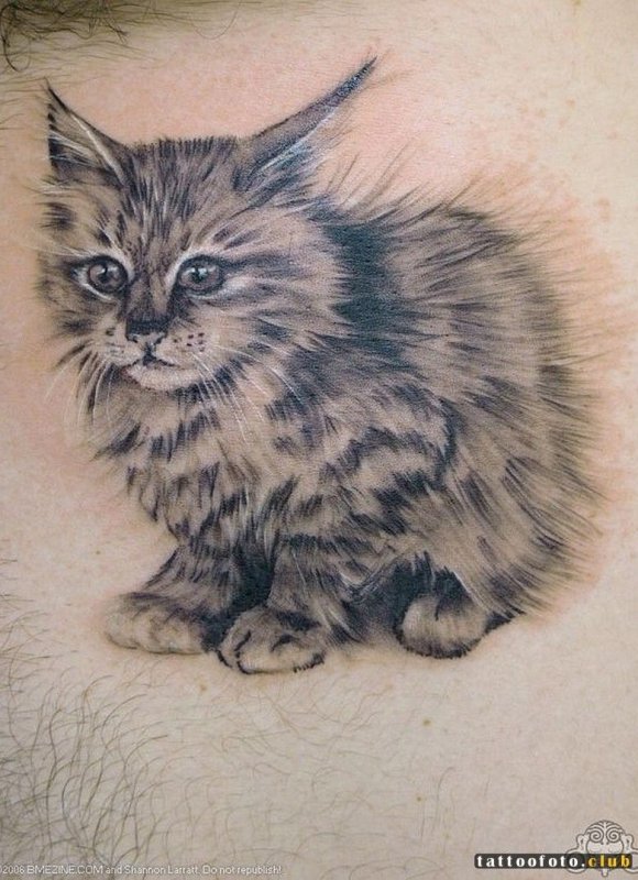Кошка пушистая эскиз тату