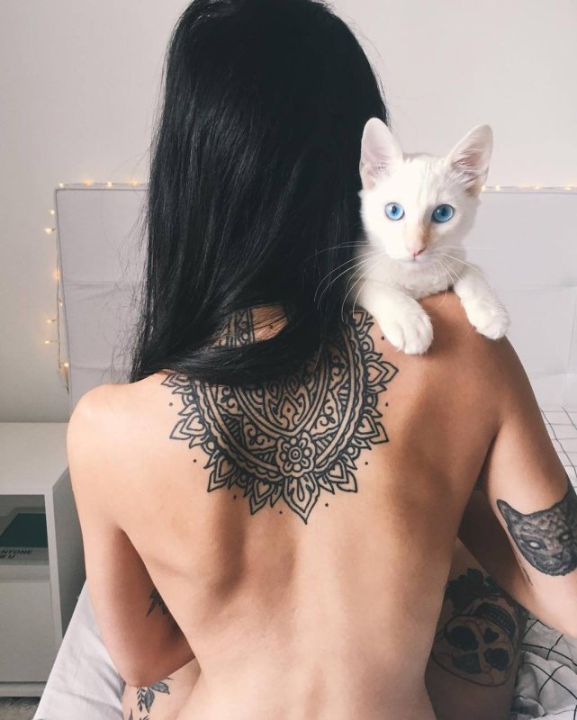Девушка с котом на плече