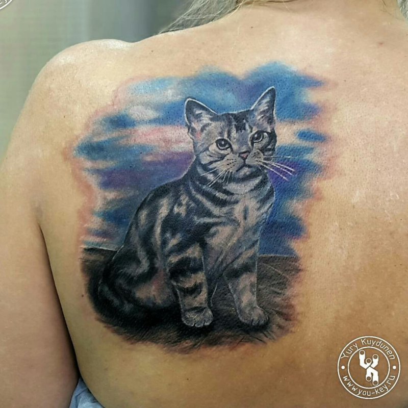 Тату кошка на лопатке