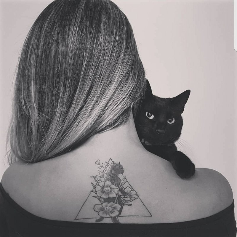 Тату кошка