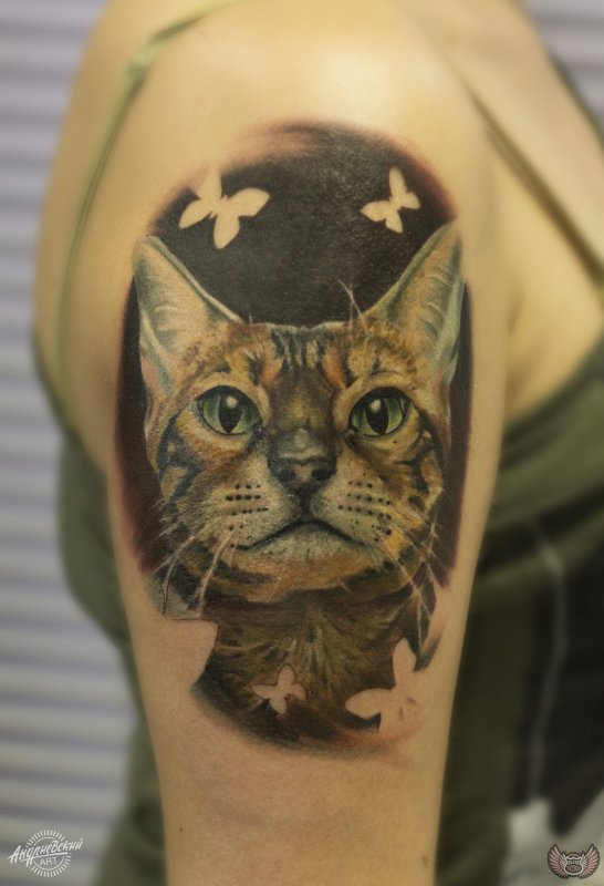 Тату Бенгальская кошка