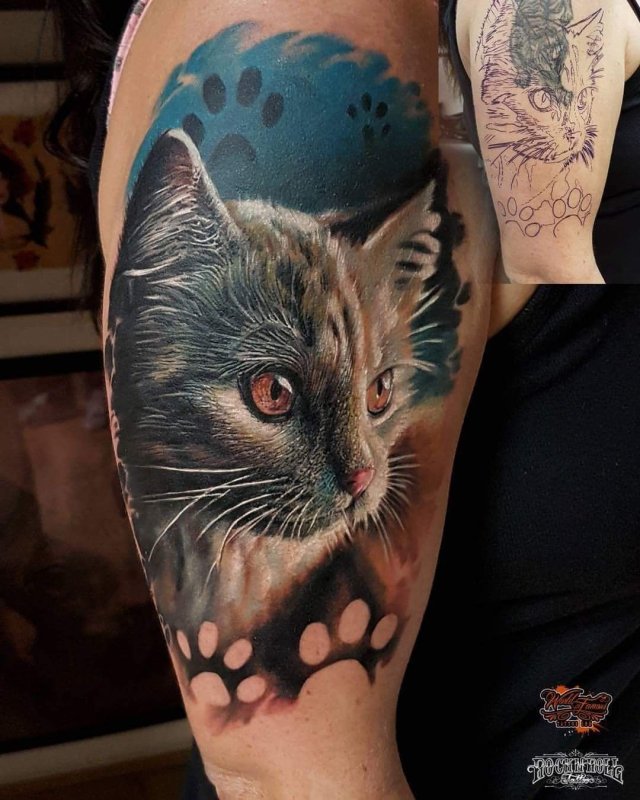 Кот реализм