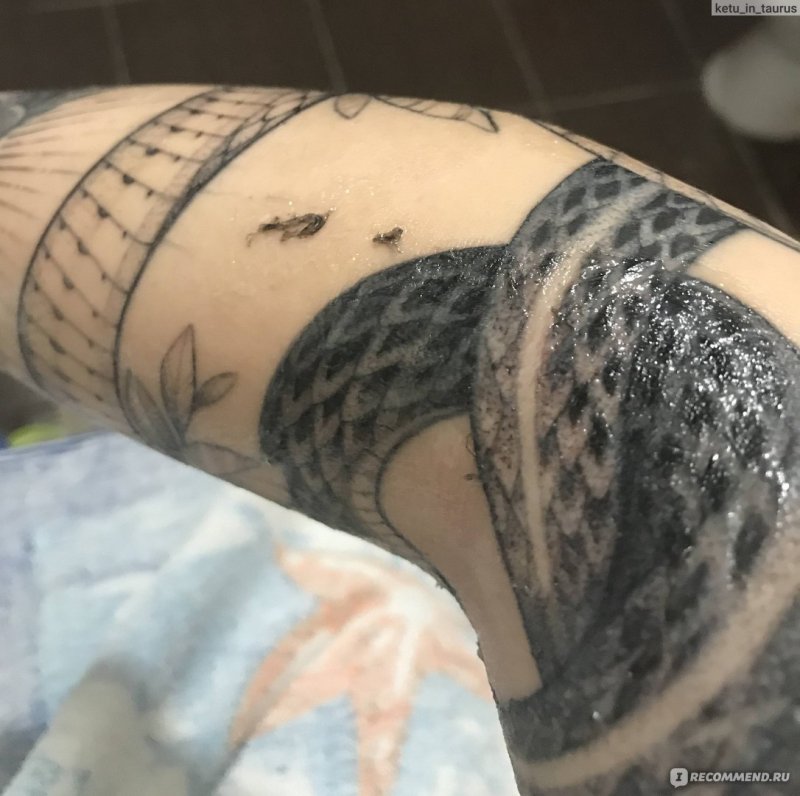 Процесс заживления тату по дням