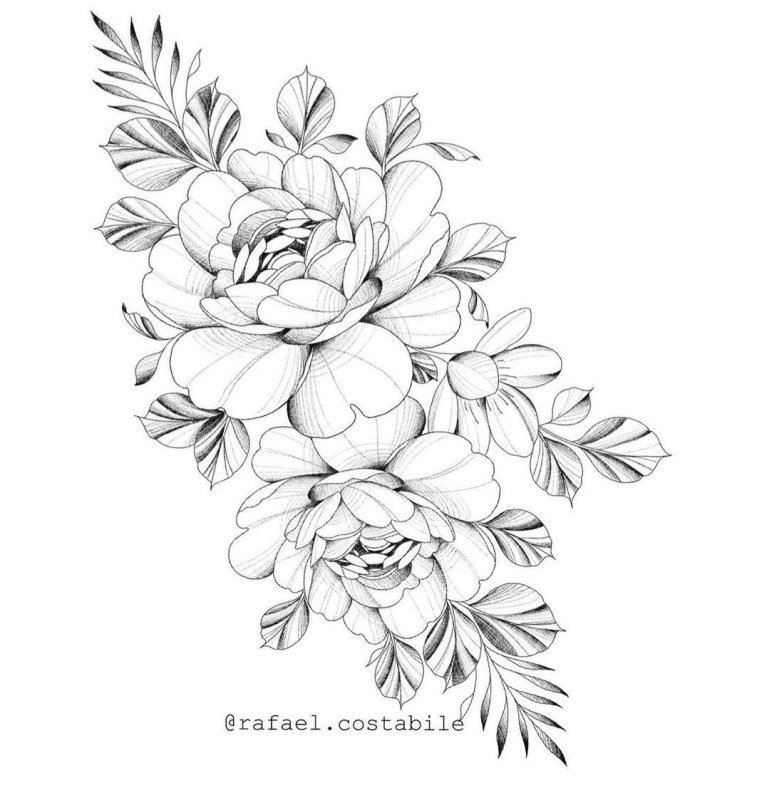 Пионы linework