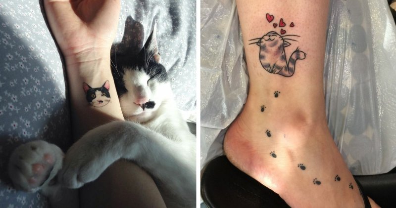 Тату тайская кошка