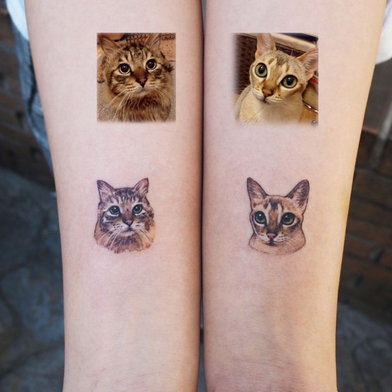Татуировка Ведьминой кошки