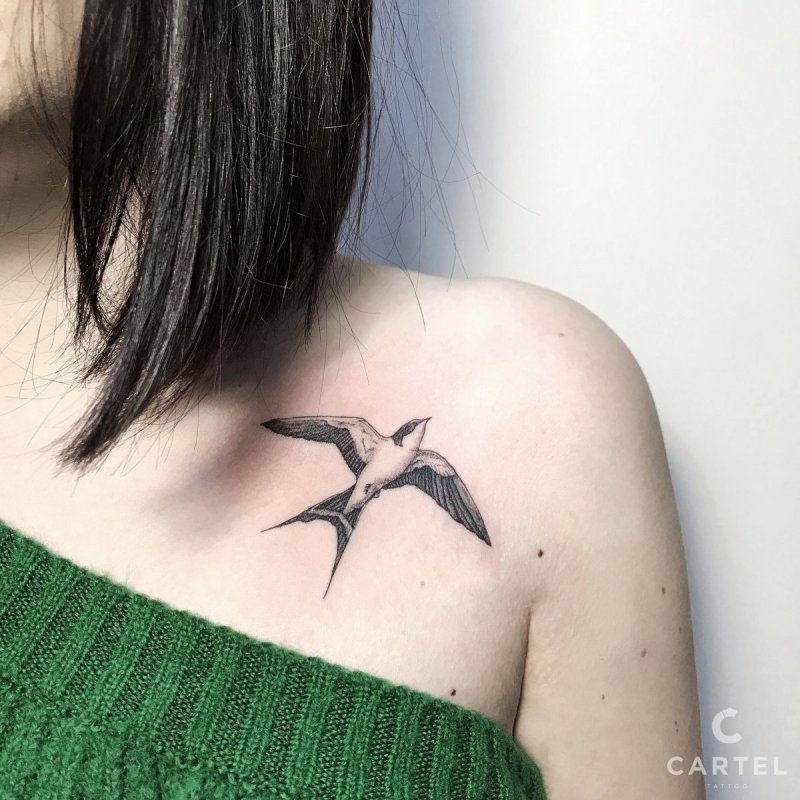 Тату Ласточка
