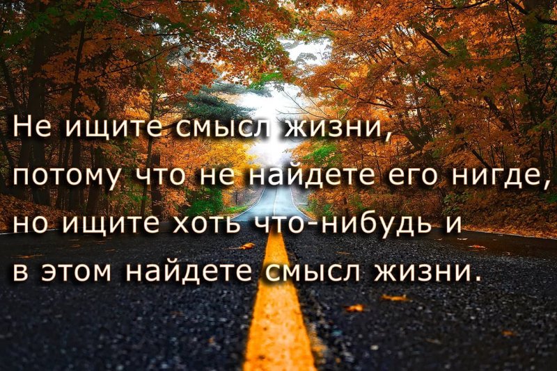 Красивые цитаты