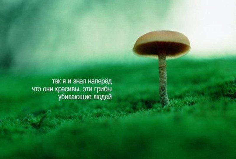 Философия в картинках с надписью