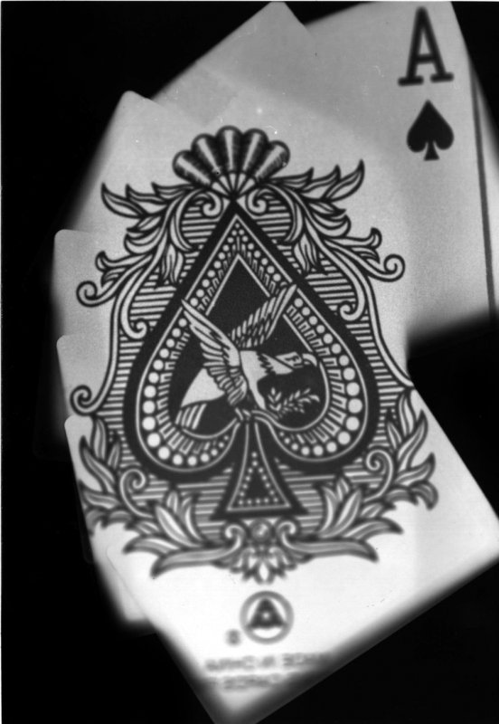 Tribal Tattoo Skull on the fingers