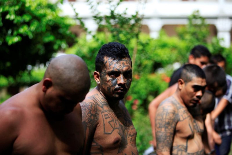 Банда Мара Сальватруча ms13