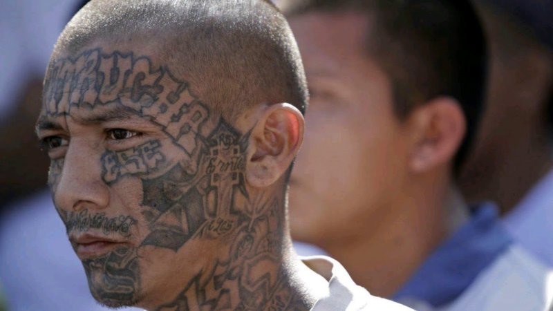 Банда Мара Сальватруча ms13