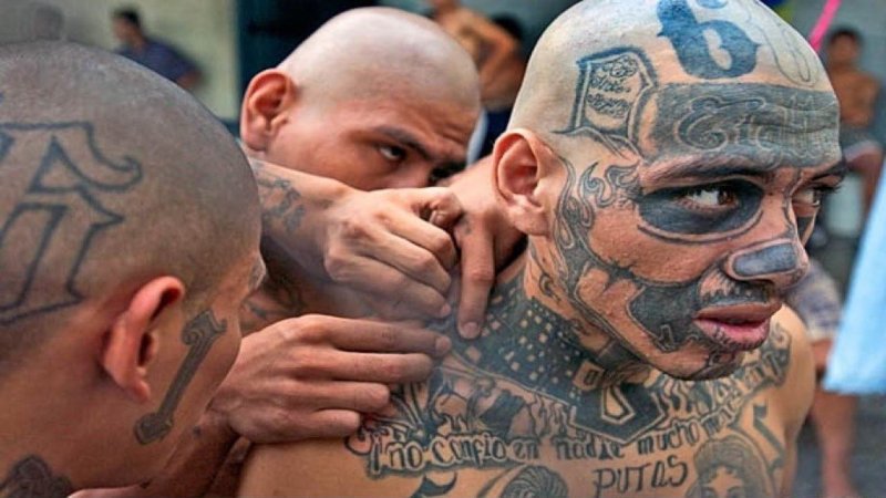Банда Мара Сальватруча ms13