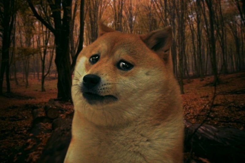 А вот сейчас обидно было Мем
