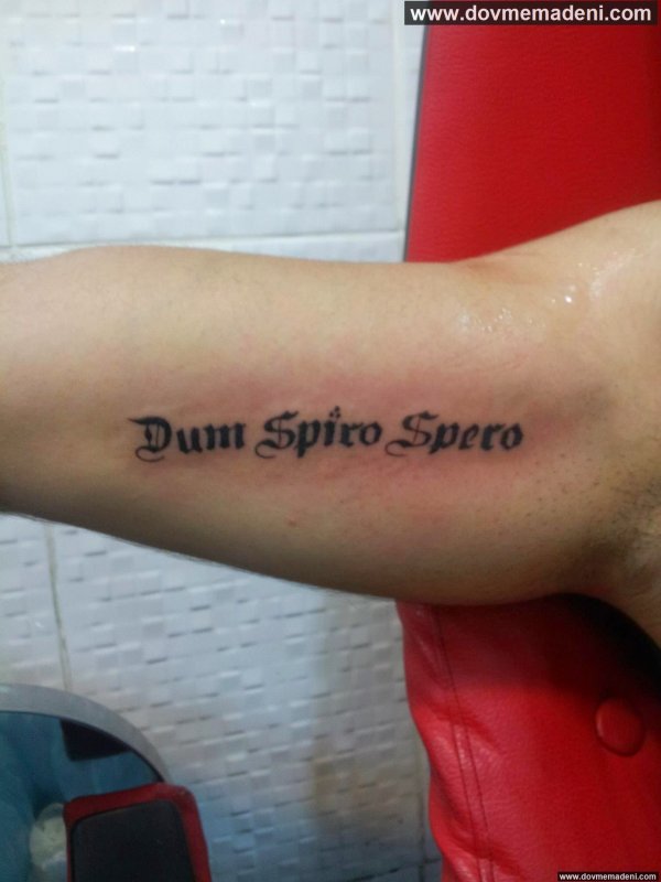 Дум Спиро сперо
