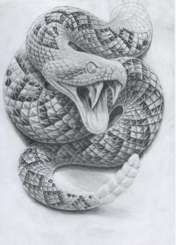 Змея эскиз