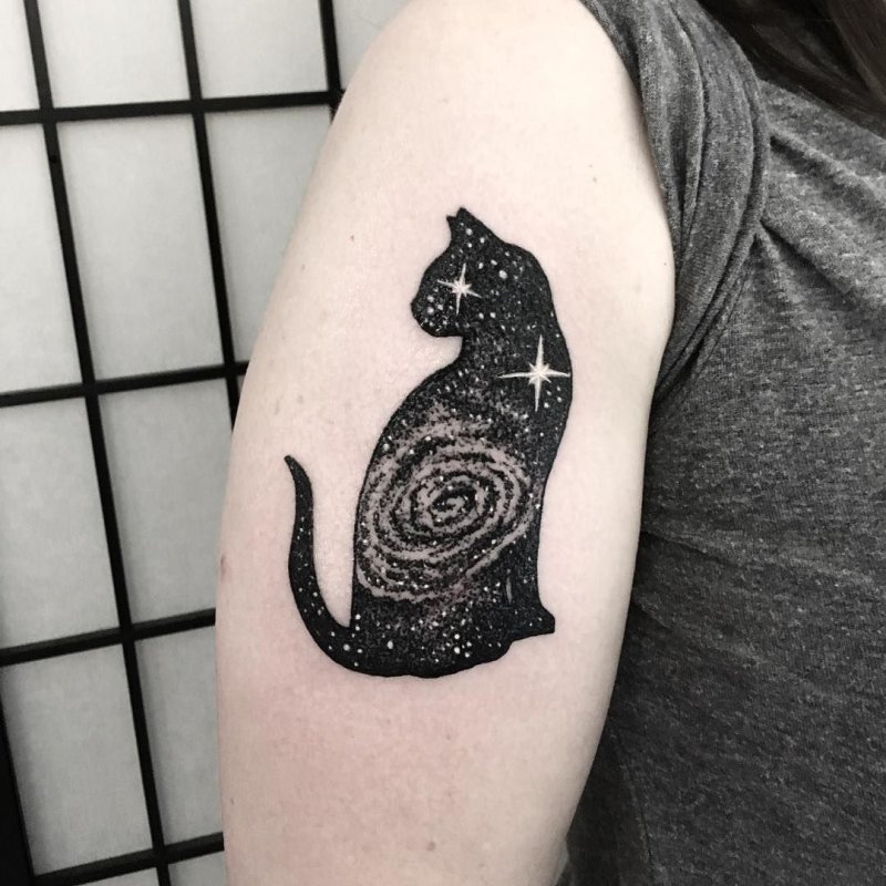 Тату кошка