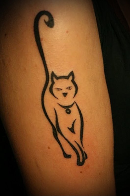 Красивые тату кошек