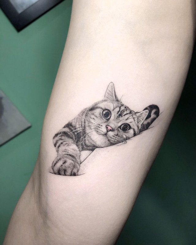 Тату кота для мужчин