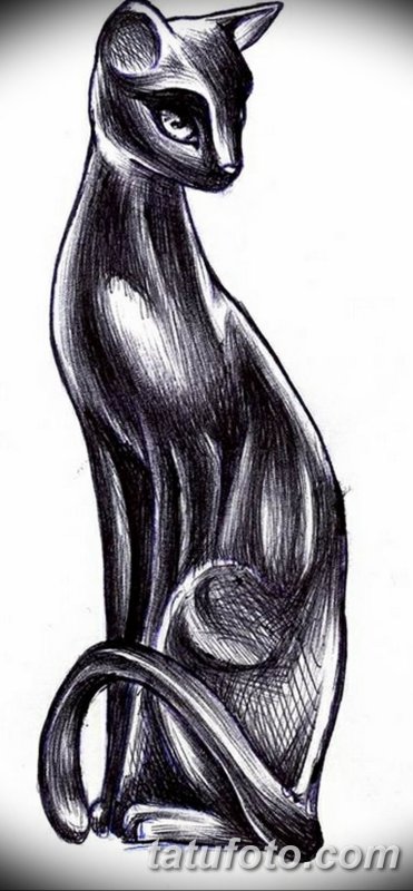 Кот тату эскиз