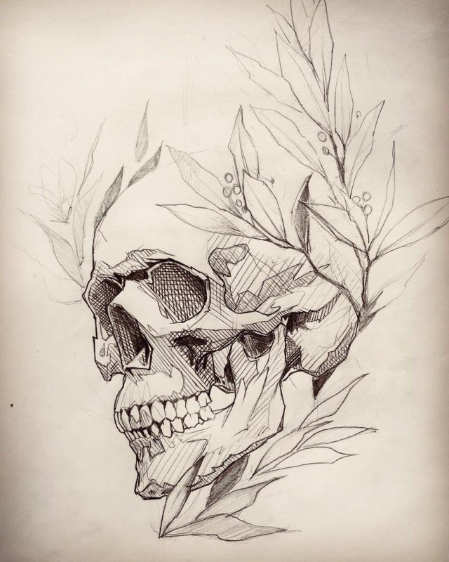 Череп скетч