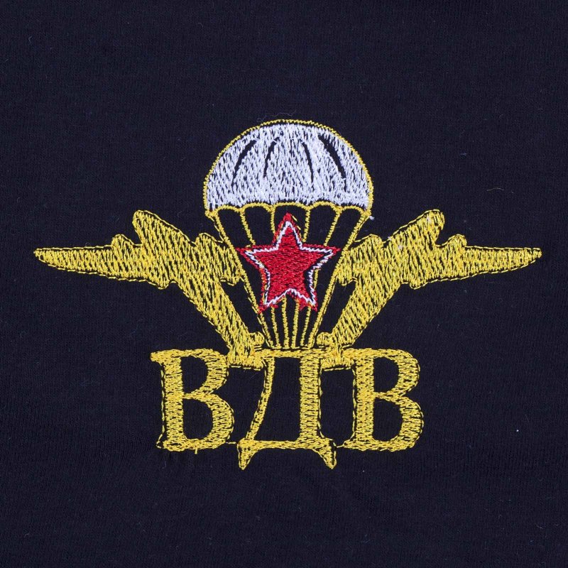 Символика ВДВ