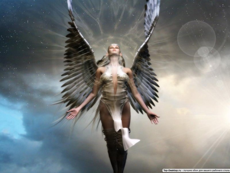 Performance Design Valkyrie
