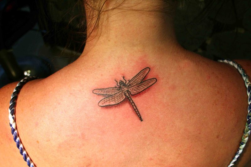 Dragonfly тату