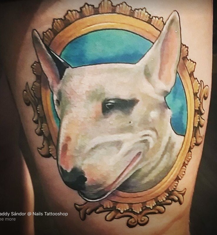Тату Bullterrier цветная