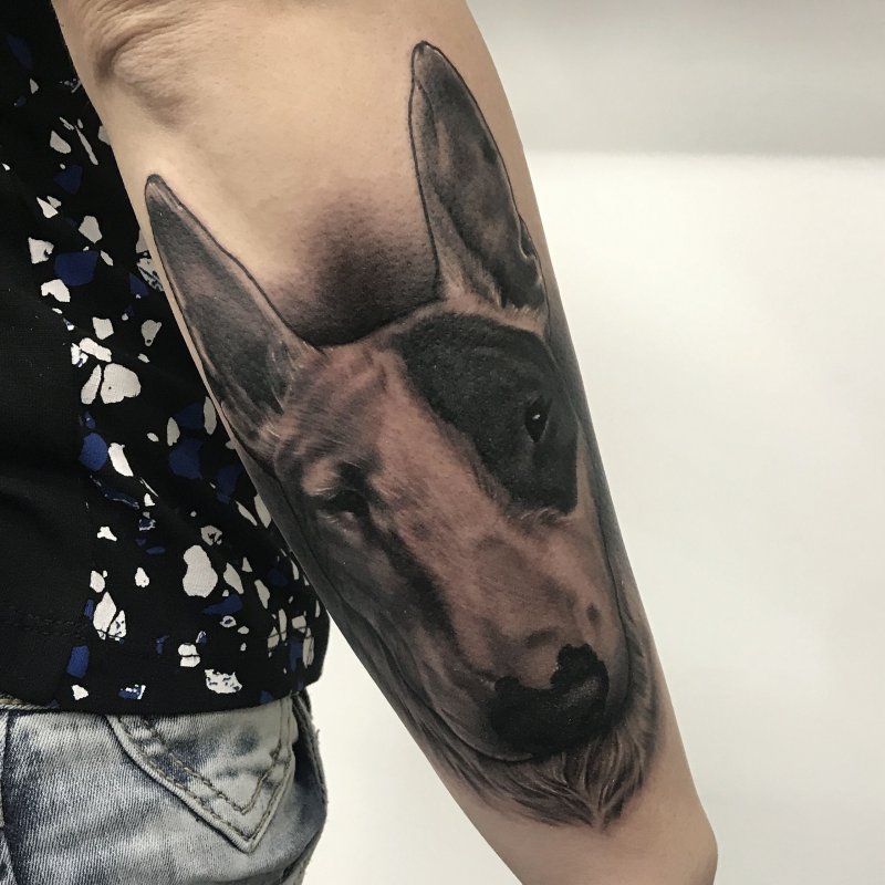 Тату стаффбуль