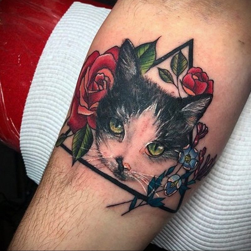 Тату трехцветная кошка