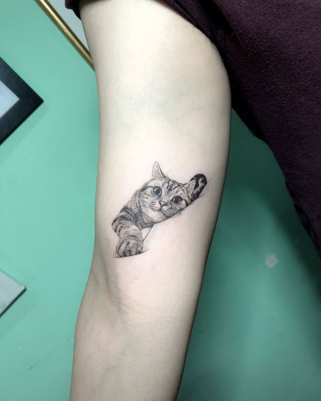 Тату кошка маленькая