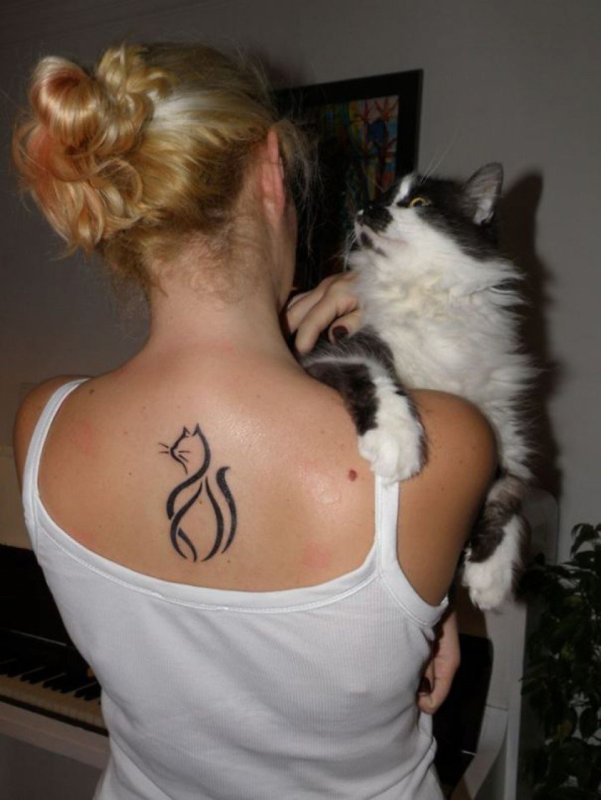 Тату кошка