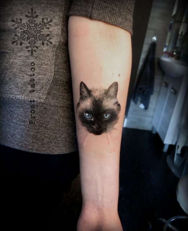 Тату Сиамская кошка