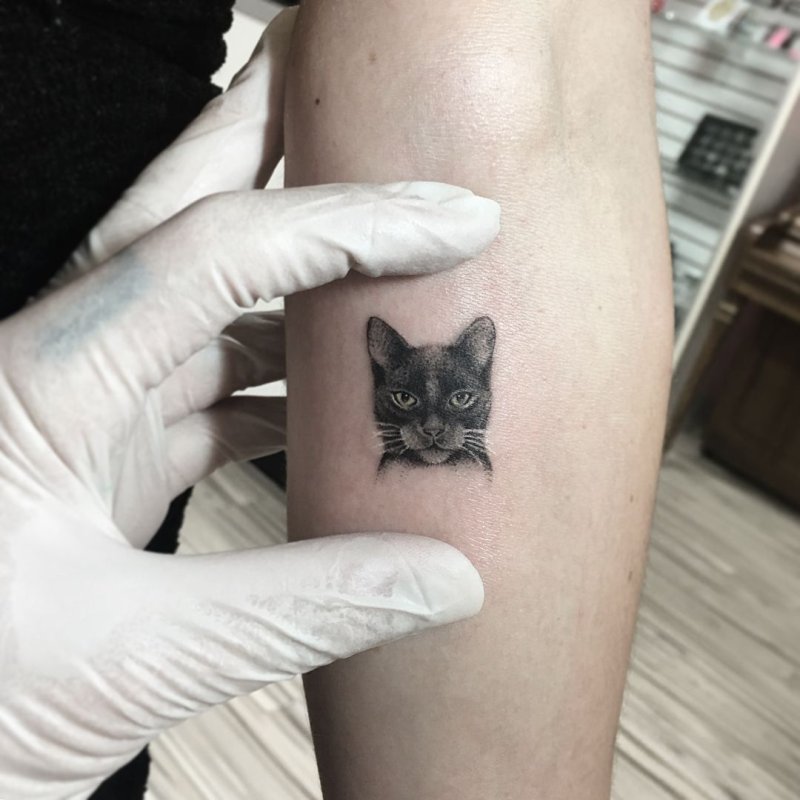 Тату маленькая черная кошка