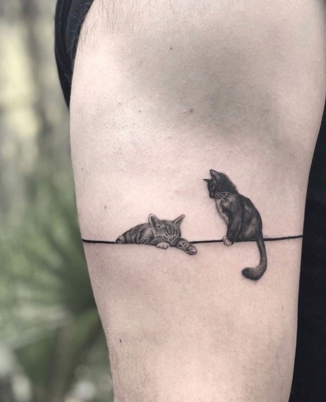 Тату котенок