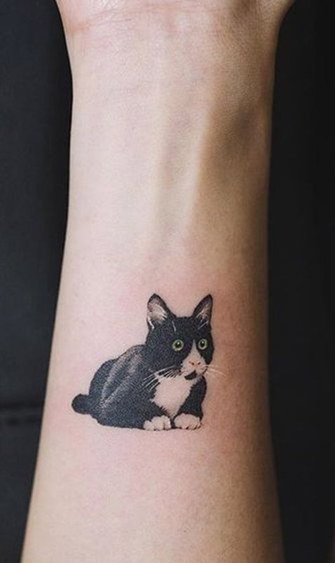 Маленькие тату кошки