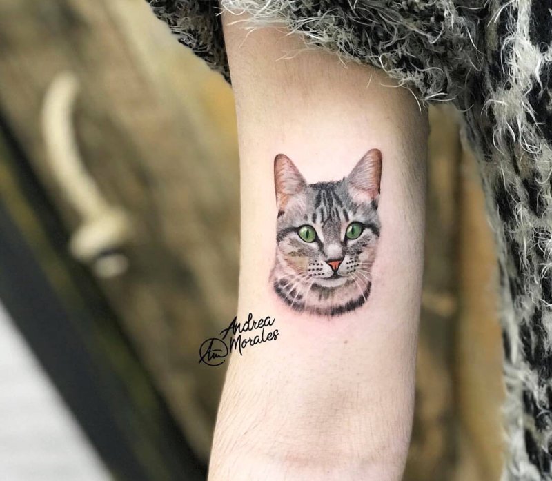 Тату кошка на запястье