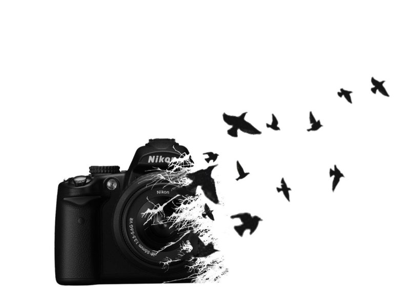 Тату для фотографа эскиз