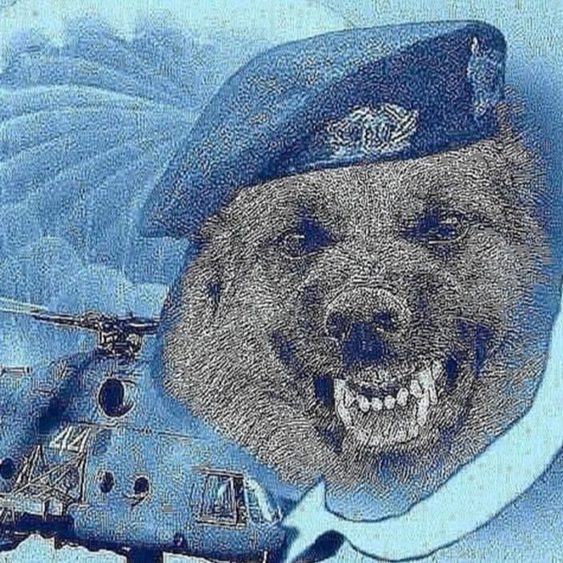 76 Дивизия ВДВ медведь