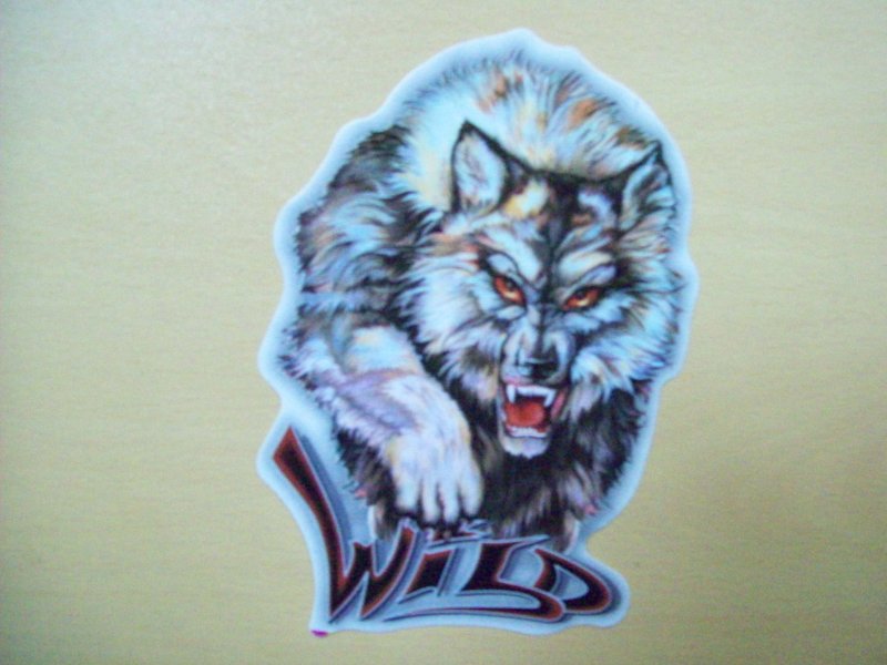 Футболка the Mountain - White Wolf DJ