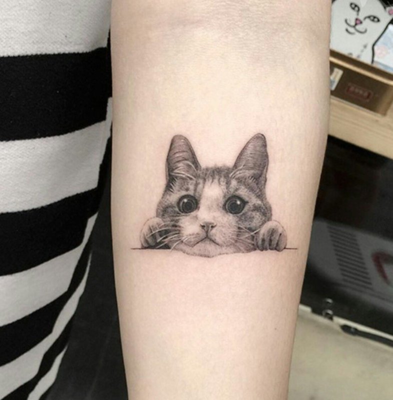 Мини тату котенок