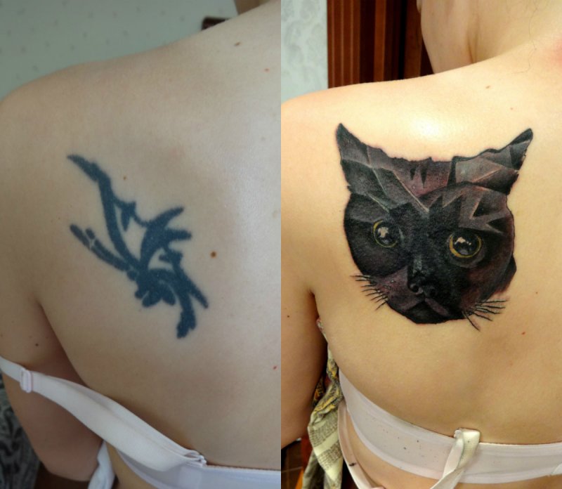 Сделать тату котика