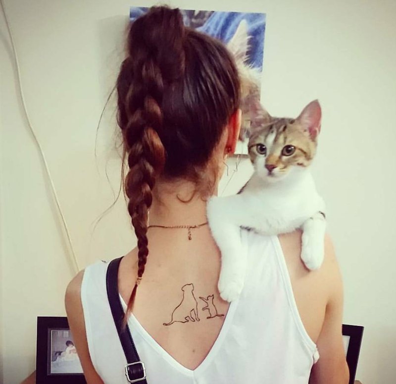 Девушка с котом на плече