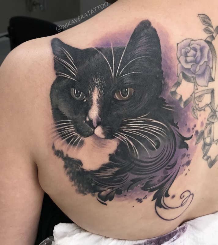 Тату котовоин