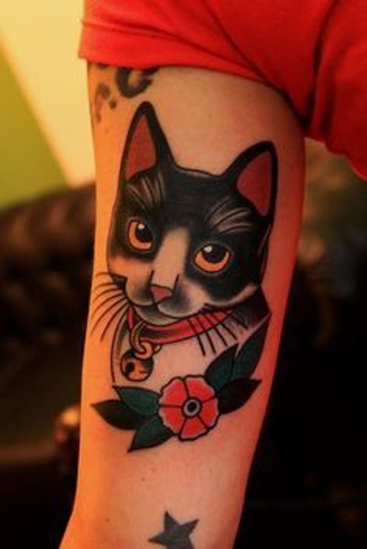 Коты мушкетеры