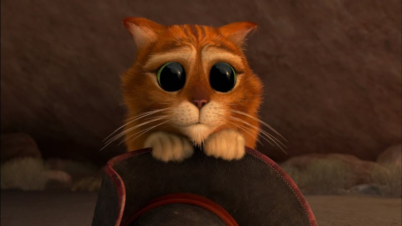 Кот в сапогах маленький
