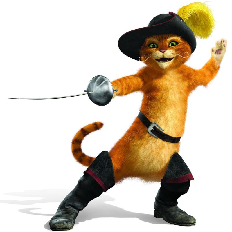 Swashbuckling Cat