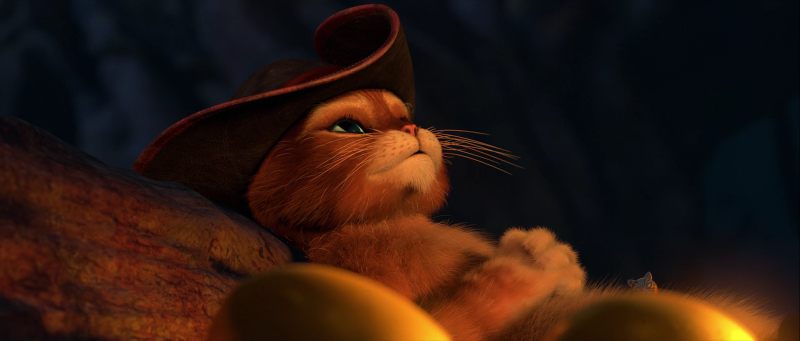Корни Шрек кот