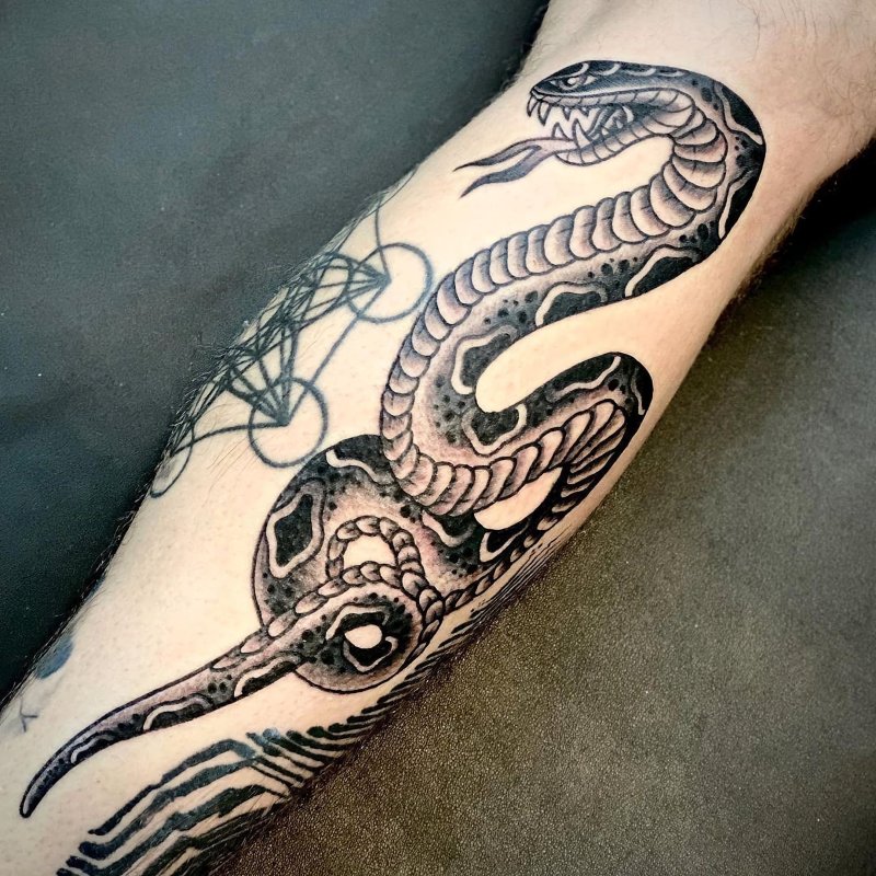 Hydra дракон